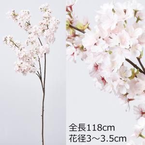 3営業日で発送 桜×460 A-34404001P