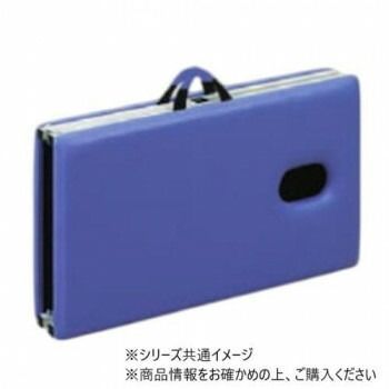 高田ベッド製作所 有孔粉体ムーブ 折りたたみ式ポータブルベッド 幅50×長さ180×高さ50cm ライトブルー TB-1008U