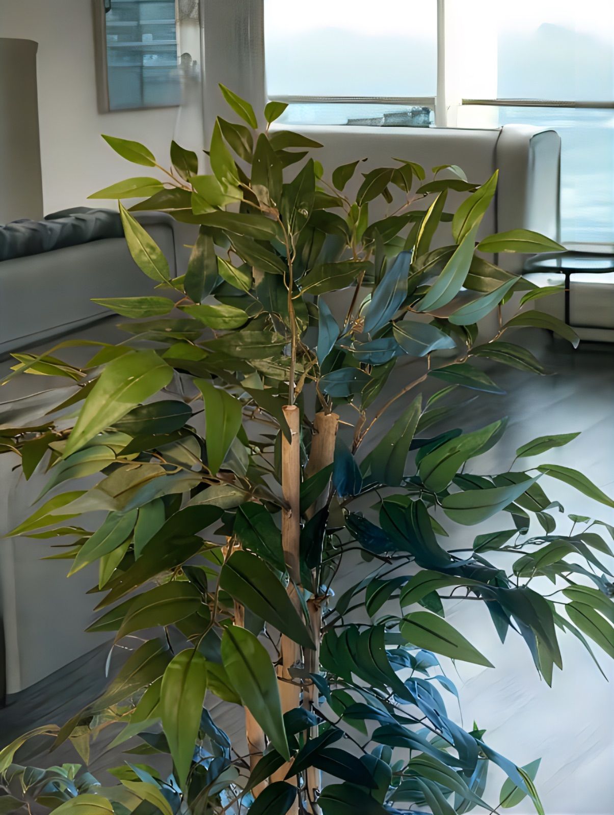 光触媒 人工観葉植物