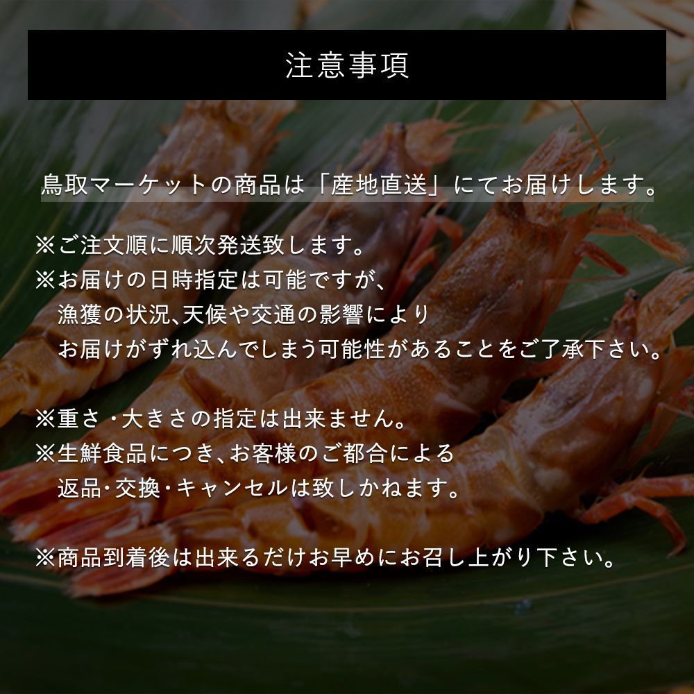 【テレビで紹介！】話題の「幻の海老」猛者エビ(モサエビ）大容量1kgセット(250g×4パック）-6