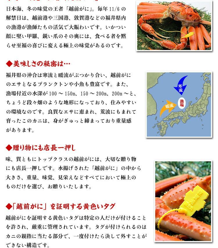?越前|松葉せいこがに? 小サイズ×5尾