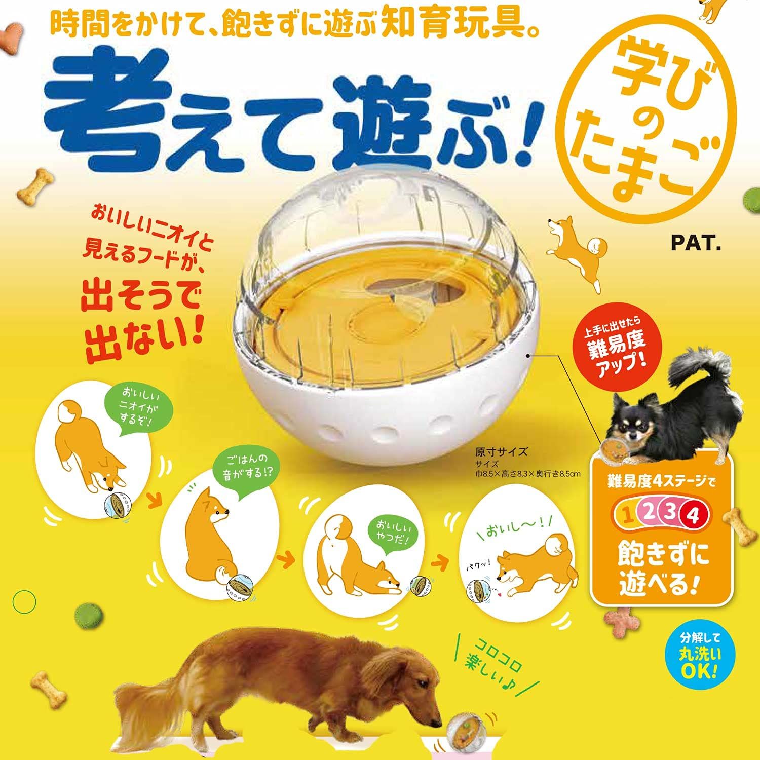 ドギーマンハヤシ 考えて遊ぶ!