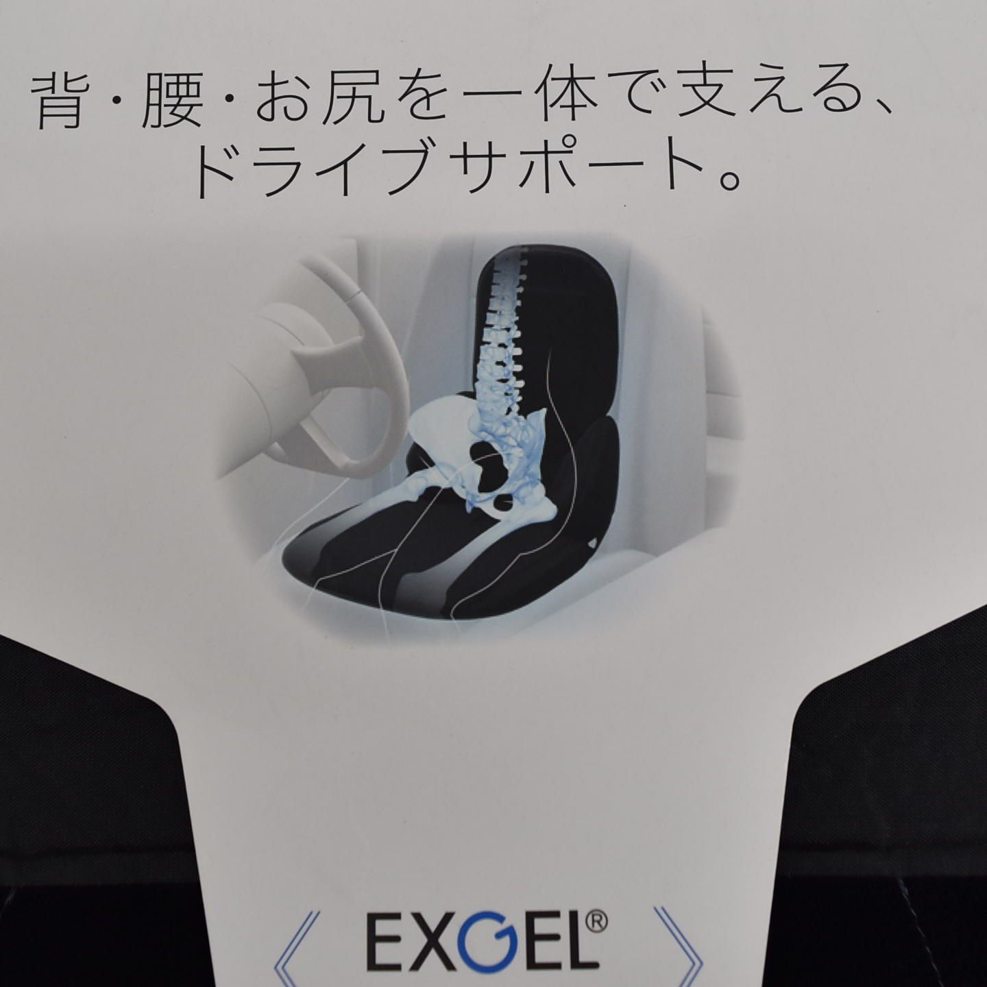 ドライブ