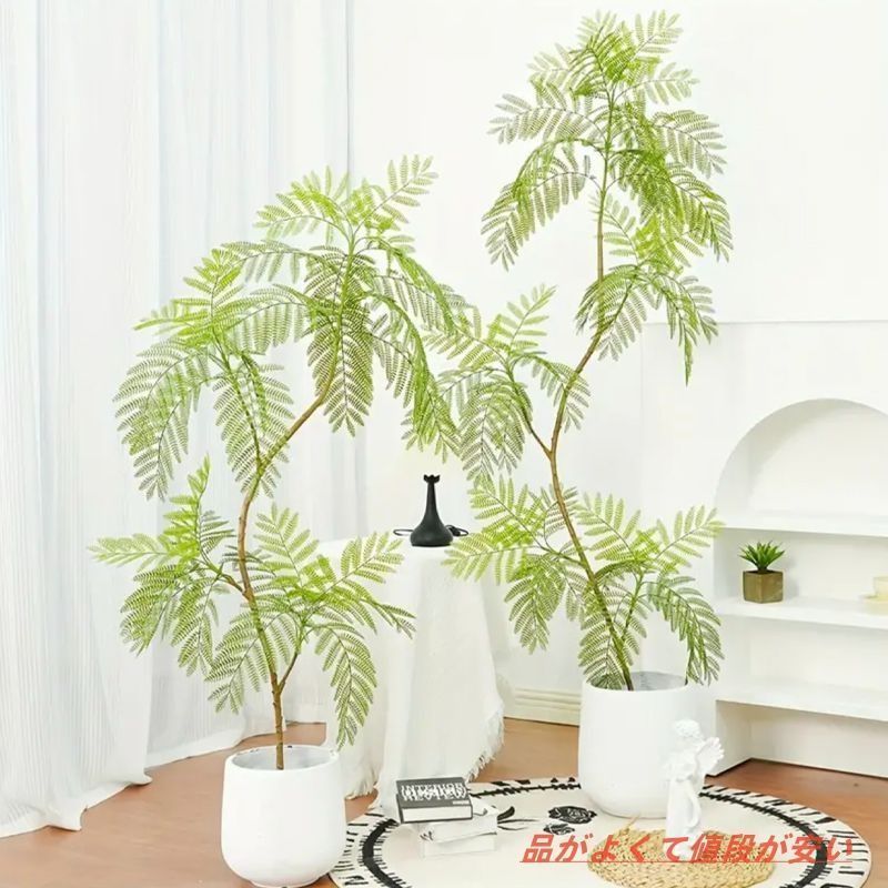 インテリア 植物