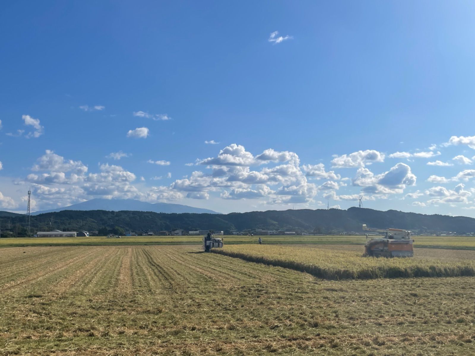 農家直送‼️令和５年度☆新米☆秋田県産 これが本場のあきたこまち玄米