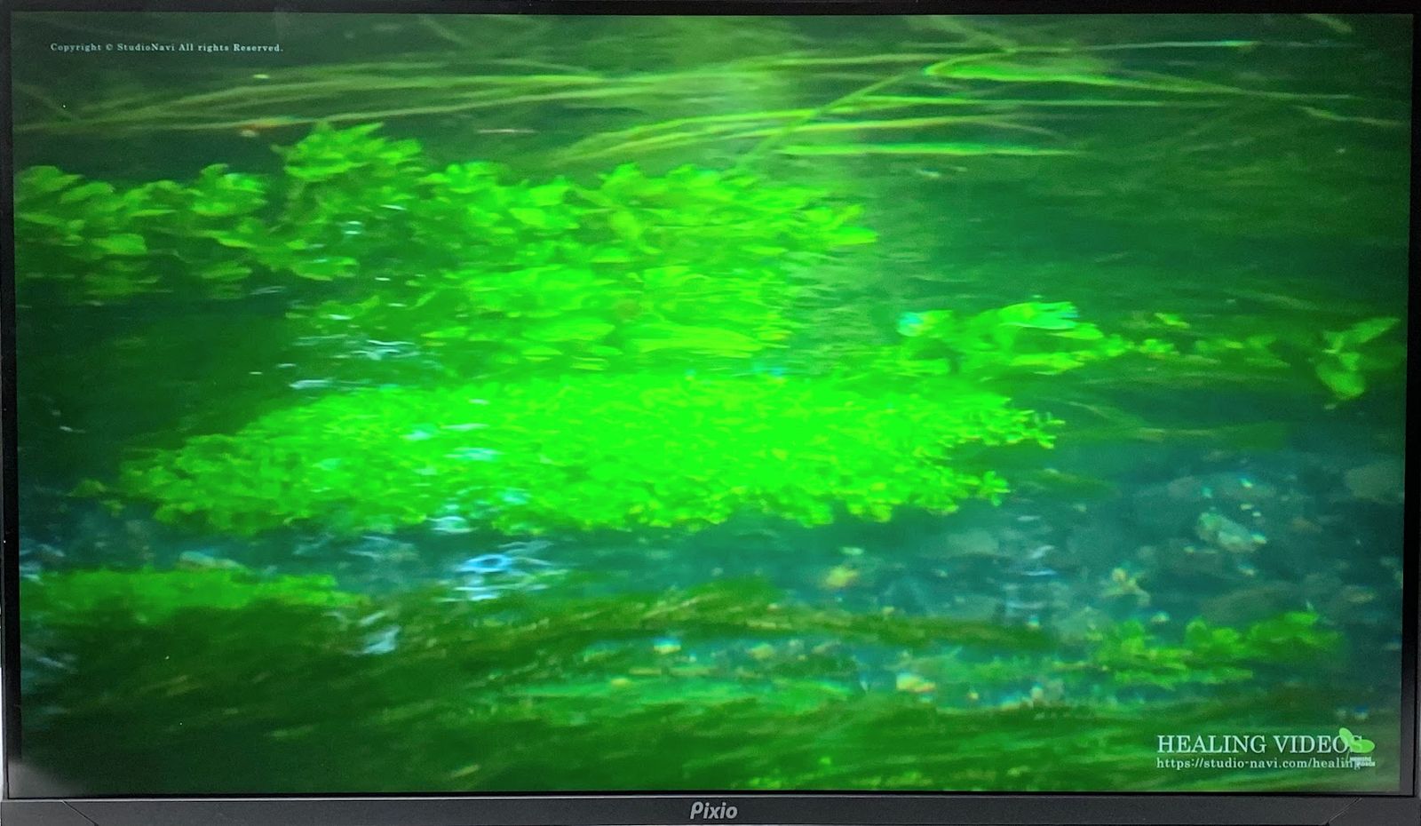 Pixio PX278 WAVE ブラック 27インチ 180Hz WQHD : Pixio