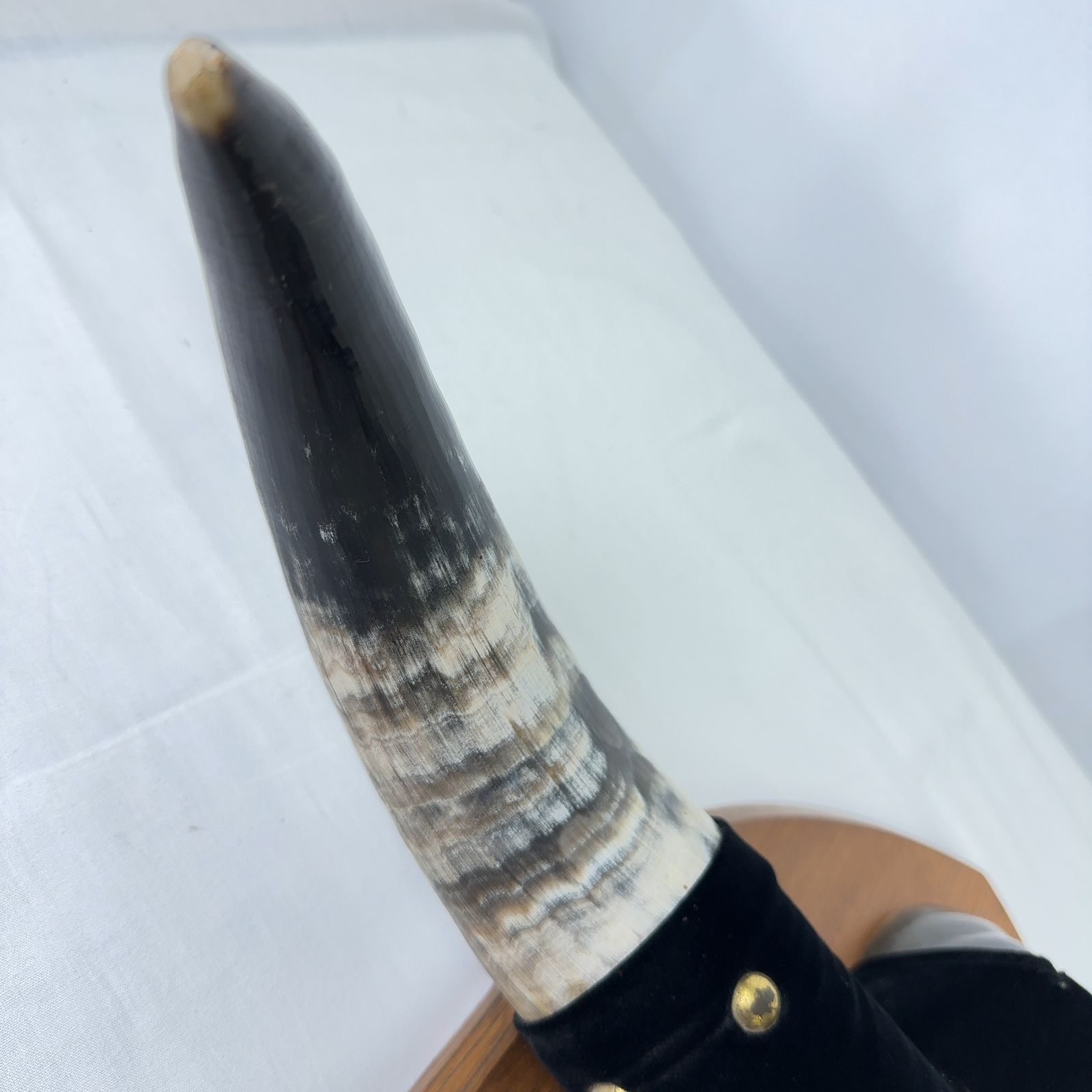 アンティーク ツノ