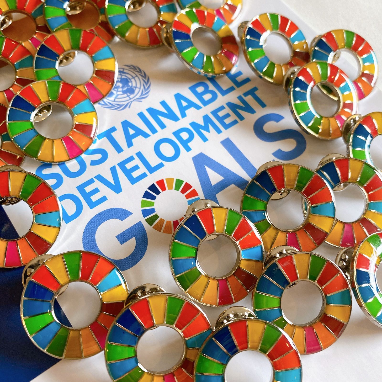 SDGs ピンバッジ 訳あり品 10点セット - SDGsピンバッジ正規品販売