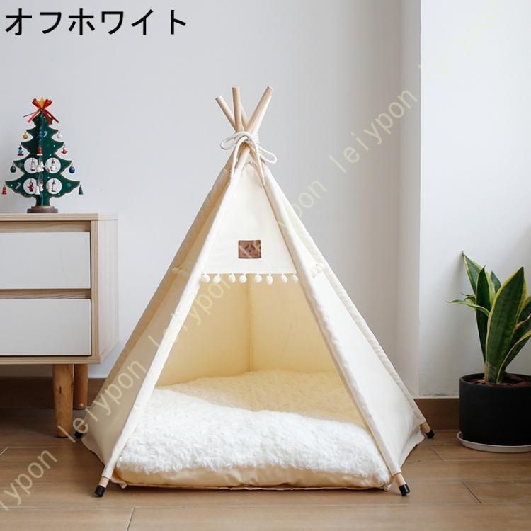 かわいい 通年