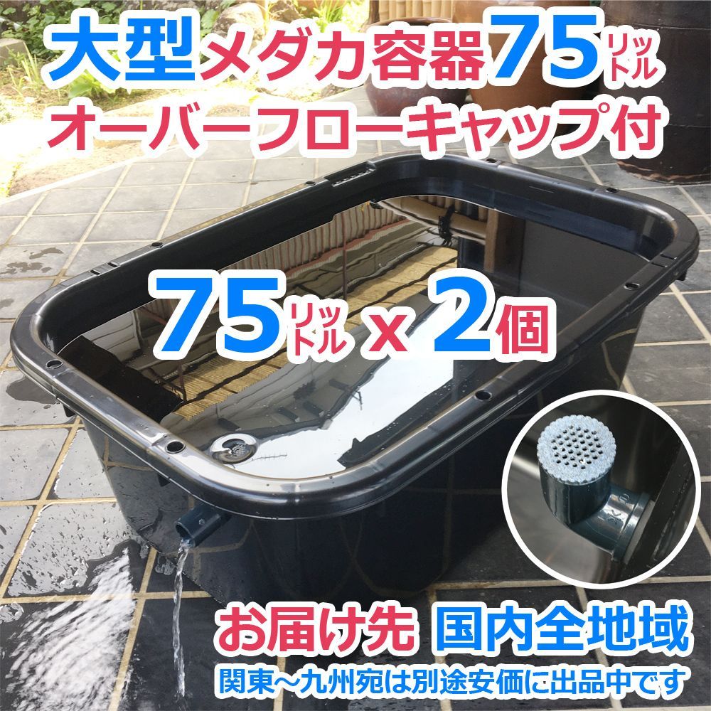 メダカ飼育トロ舟40 オーバーフロー加工 送料無料 - 魚類、水生生物