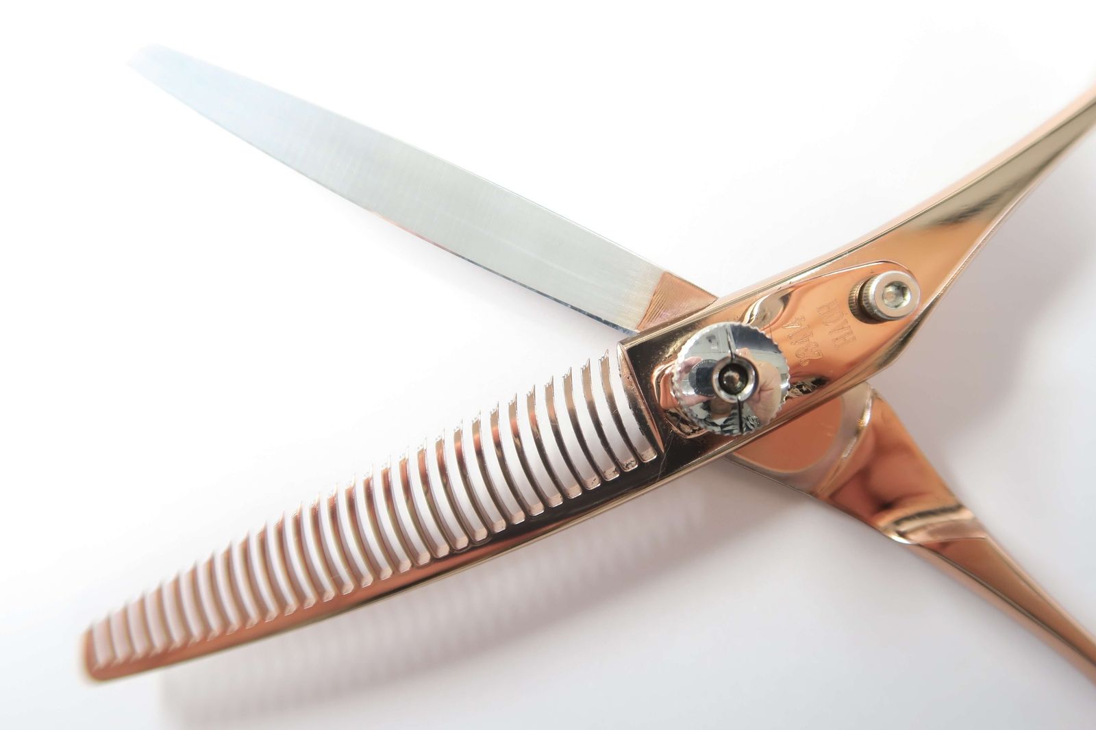 TOGINON DYNA SAURUSリバース6.1インチ Aランク【トギノン TOGINON