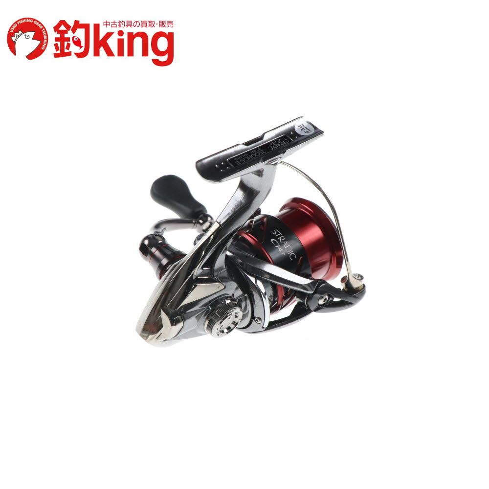 アオリイカ エギング