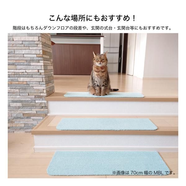 イヌ 猫