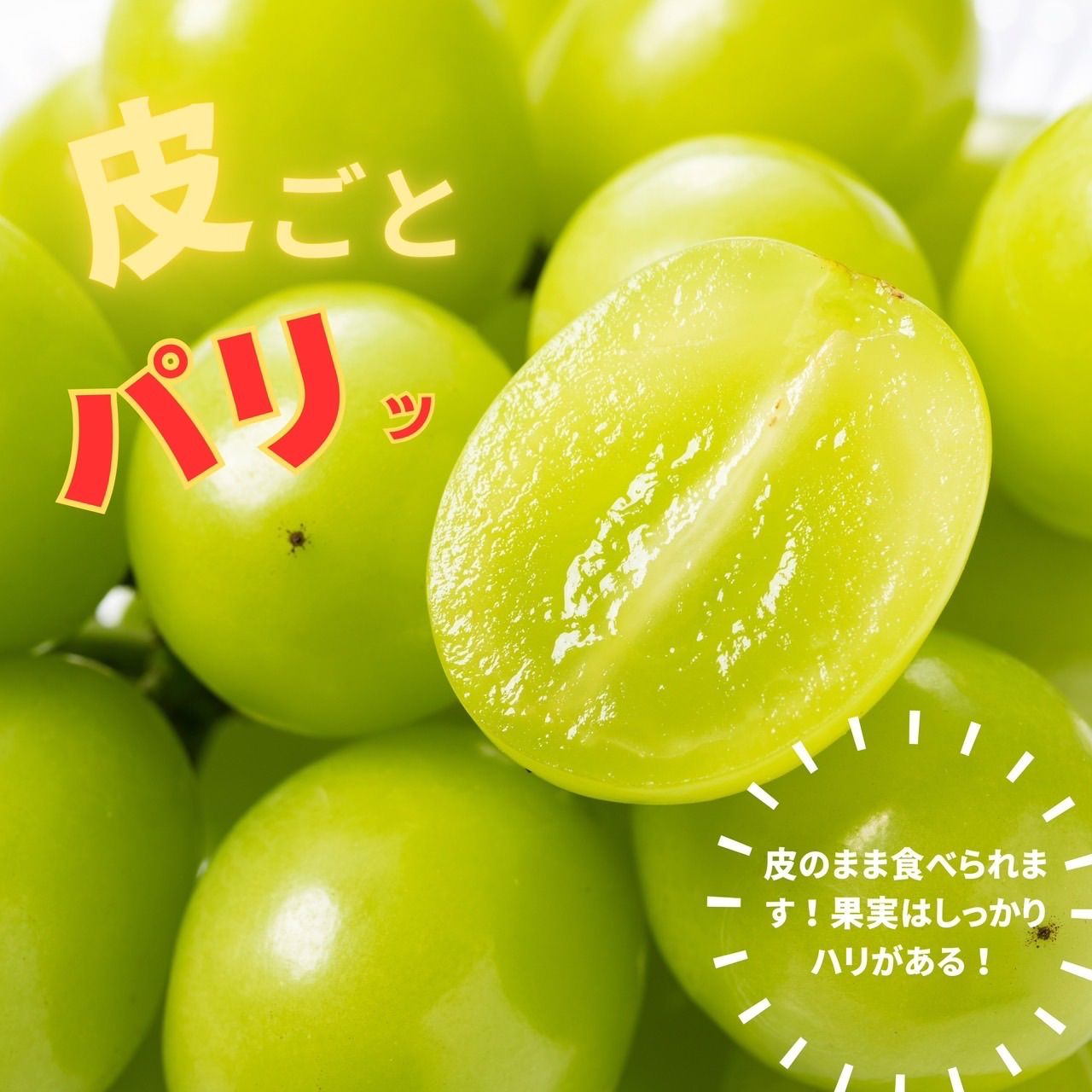 岡山県産　シャインマスカット　晴王　6〜7房　約5kg　優品　クール便発送 2025年8月発送】岡山県産 シャインマスカット 晴王 600g×2房