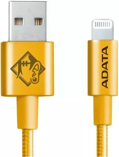 [Used] Adapter/Cord/Cable/Charger Natsuyu Lightning & Type-A Cable “Jujutsu Kaisen”