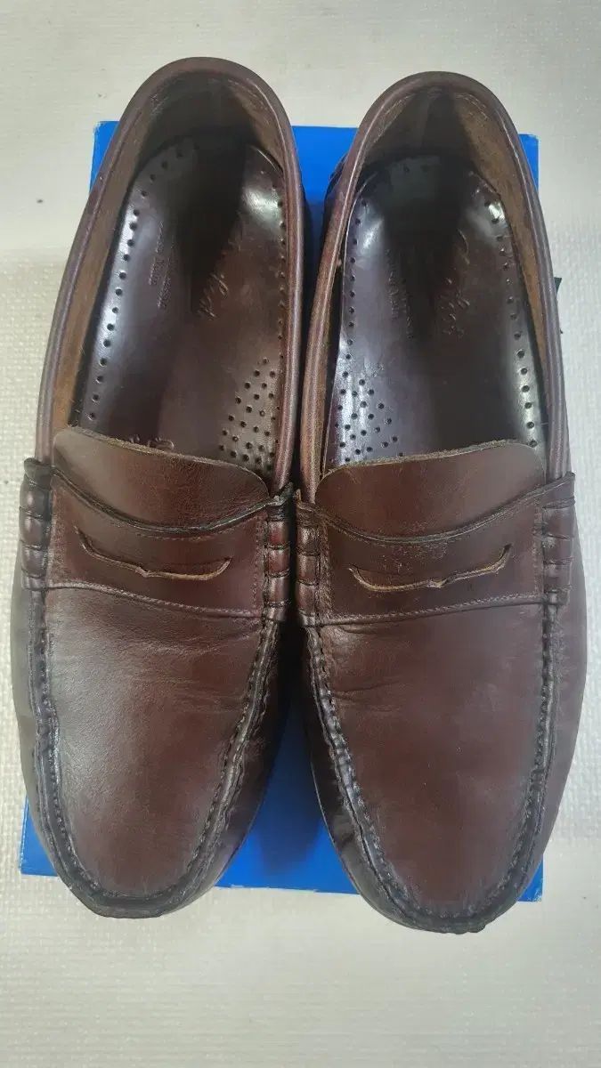 Paraboot Coraux 8サイズ