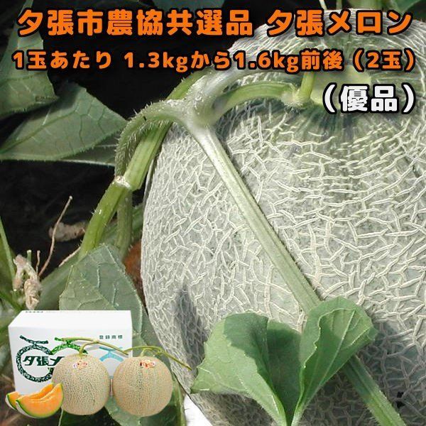 夕張メロン 2玉 優品 夕張市農協 共選品 1玉あたり 1.3kgから1.6kg 前後 お中元 贈答品 お取り寄せグルメ 6月中旬か6月下旬ごろより入荷次第のお届けとなります