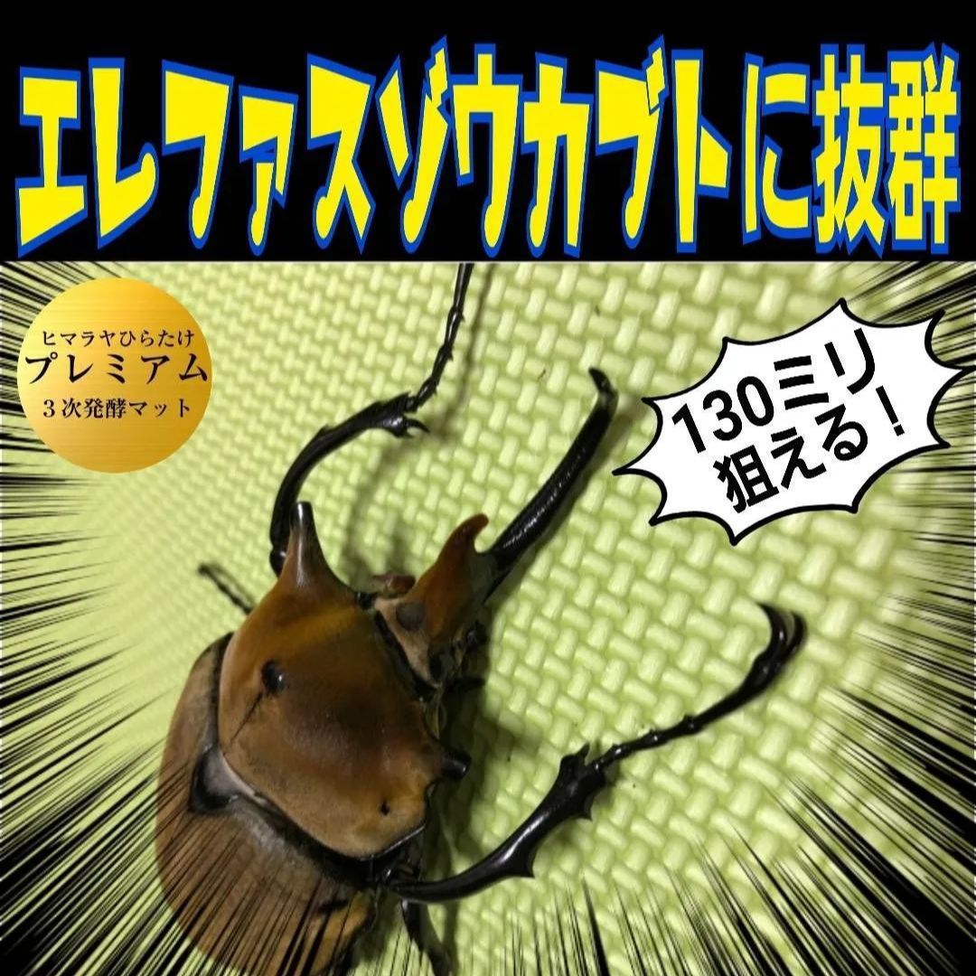 外産カブトムシ幼虫が巨大化！極上☆プレミアム3次発酵マット【9袋