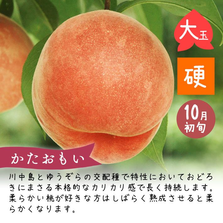 暁星 摘果桃 加工用 カリカリ 10kg 桃