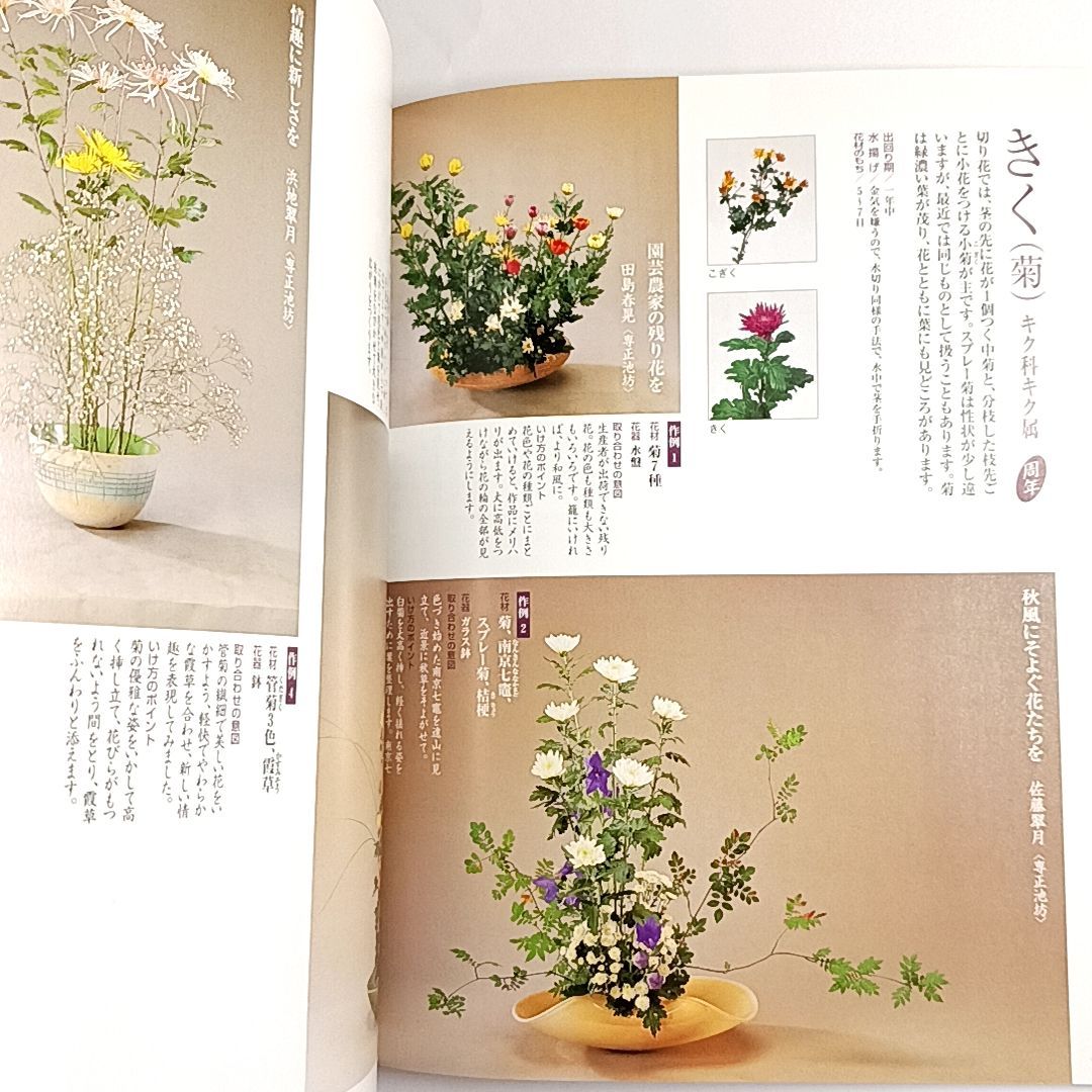 いけばな　花の伝統と文化　希少品　古書 いけばな花材取り合わせ 伝統の和花・枝もの 古本・古書 - メルカリ
