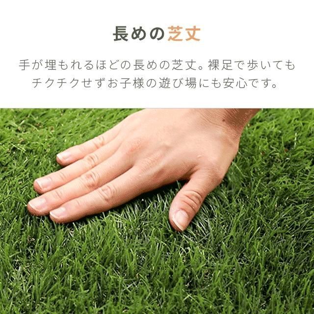 人口芝生 庭