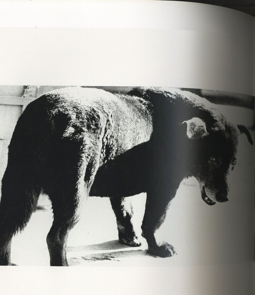 月曜社 森山大道写真集成 2 森山大道 狩人