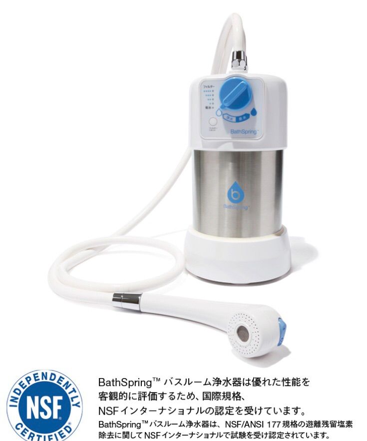 eSpring バスルーム浄水器 交換用フィルター 旧タイプ 【オンライン 