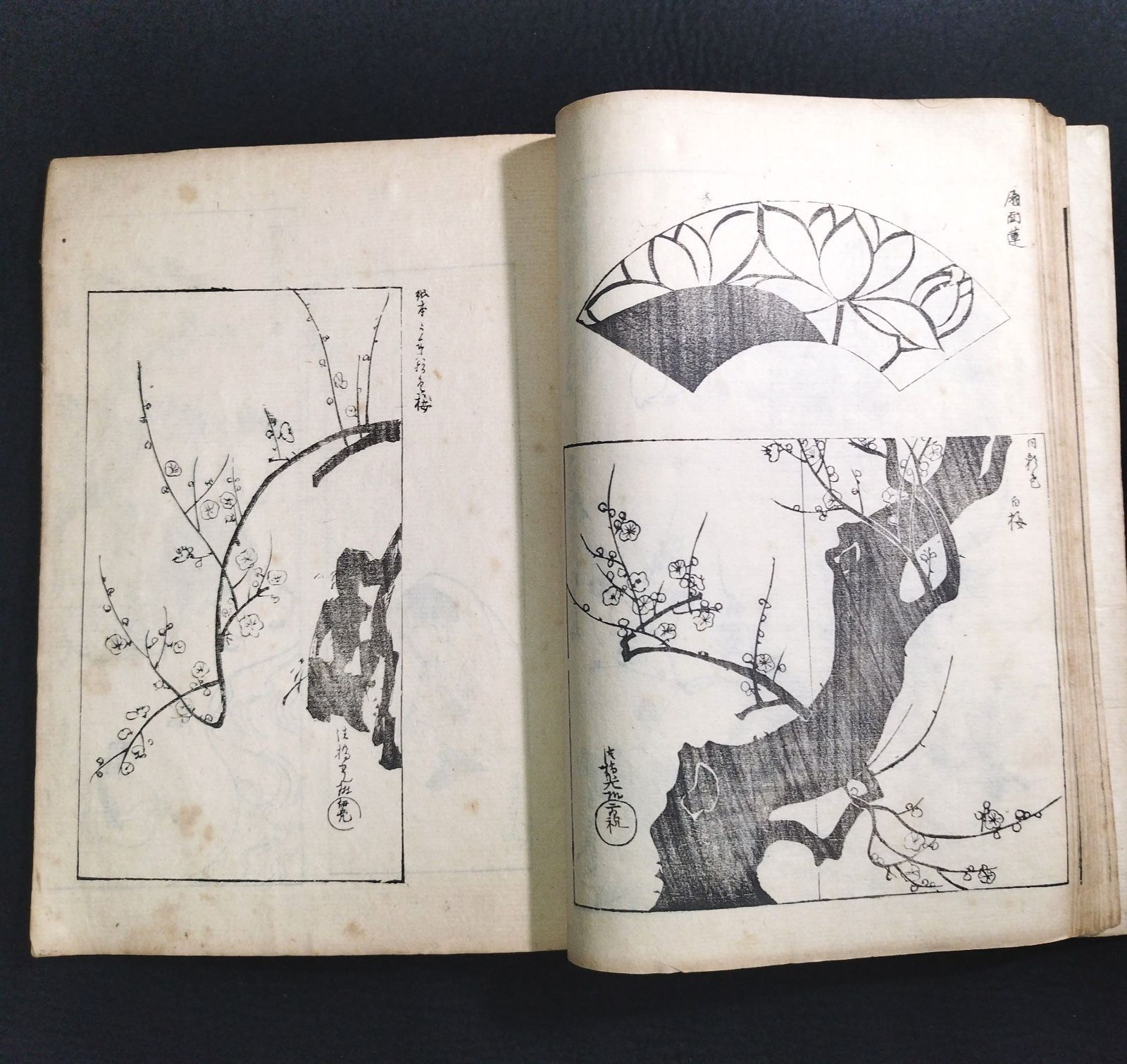 尾形光琳 絵入◇光琳百図◇上 琳派 画譜 手手本 絵本 図案 文様 草花