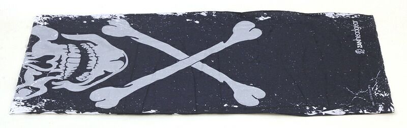 MOTLEY TUBE SKULL XBONES Zan Headgear Motley Tube