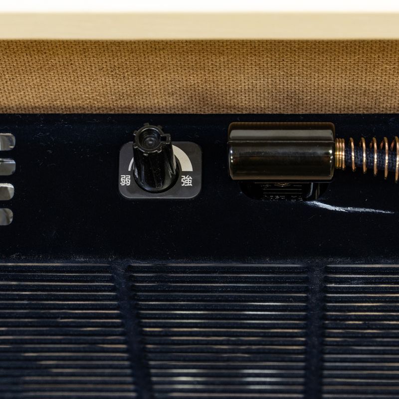 ホワイトウォッシュ