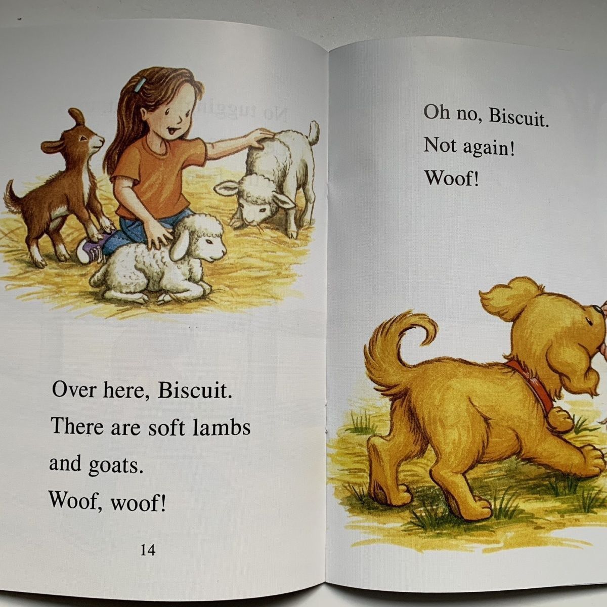 Awsome Animals Adventure 9冊英語絵本　洋書　英語勉強 Awsome Animals Adventure 9冊セット 英語絵本 洋書 英語勉強