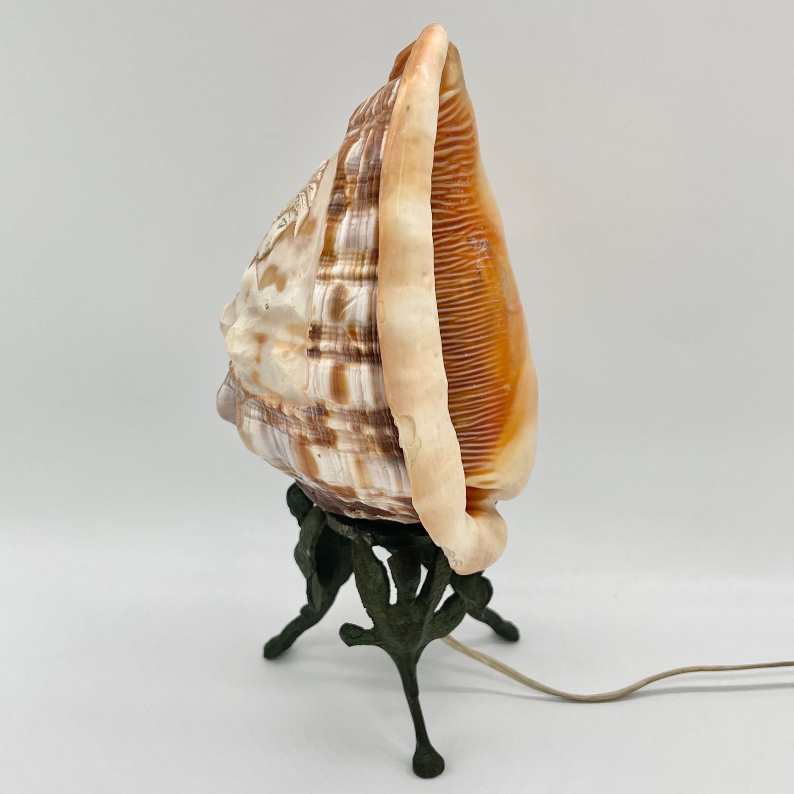 アンティーク】シェルカメオランプ 動作確認済み - メルカリ