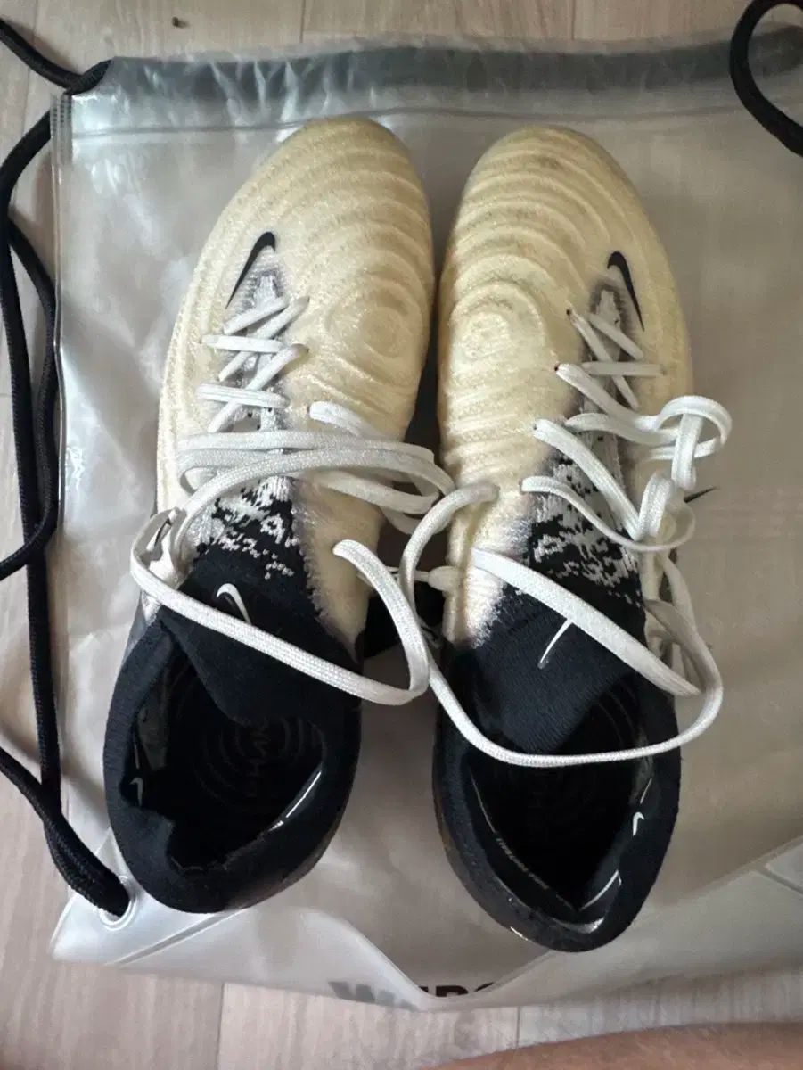 ストレッチウォーカー 37 (23cm) ストレッチウォーカー セレス 37