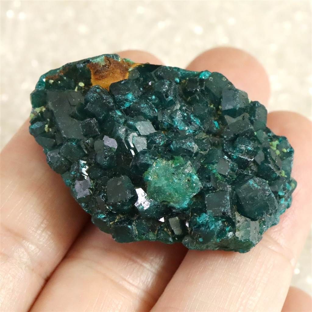 コンゴ産 ダイオプテーズ AA 翠銅鉱 原石 20.9g 【榎本通商38236