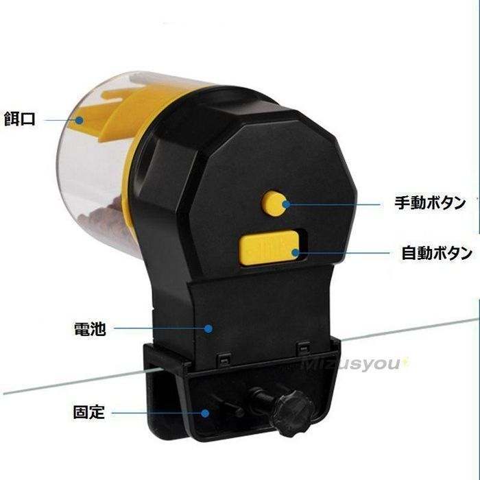 アクアリウム エサやり