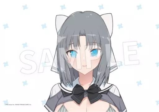 クッションカバー ピローケース 雪泉 ver. 枕カバー 閃乱カグラ