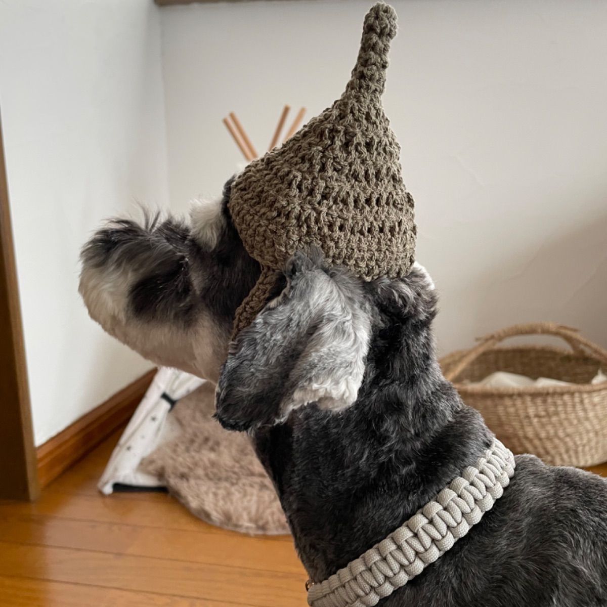 犬の帽子 どんぐり帽子 とんがり帽子 ハンドメイド | labiela.com