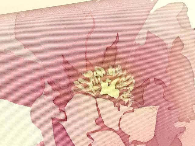 薄香色地 DZAA9760kh5