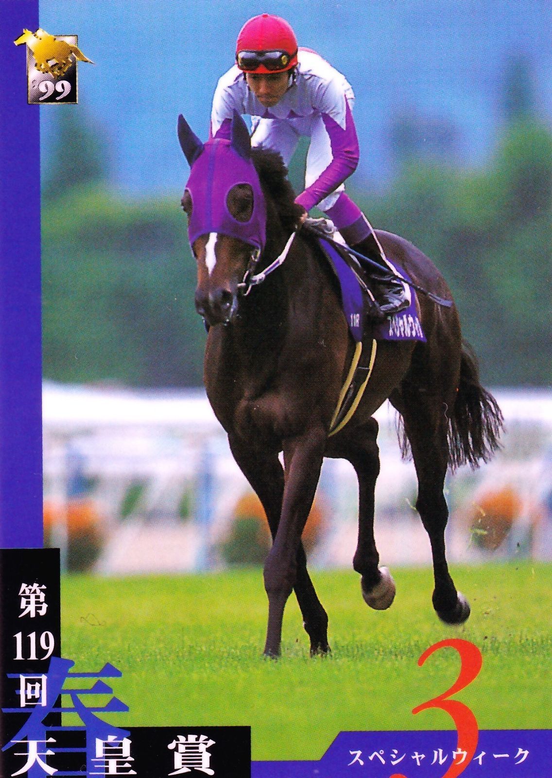 確認用　競馬カード　スペシャルウィーク 確認用 競馬カード スペシャルウィーク