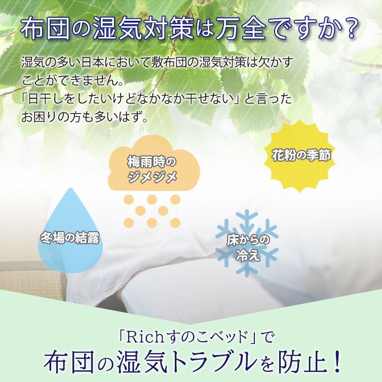 人気の福袋 大きい割引 新品 未使用 Richすのこベッド レギュラーサイズ スノコベッド バージンプラスチック製 すのこベッド Www 10cosedafare It Www 10cosedafare It