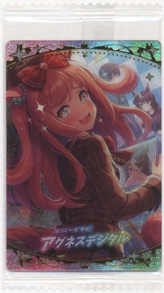 アグネスデジタル 競馬 DVD PCBG000010538.jpg?size=3&order=1