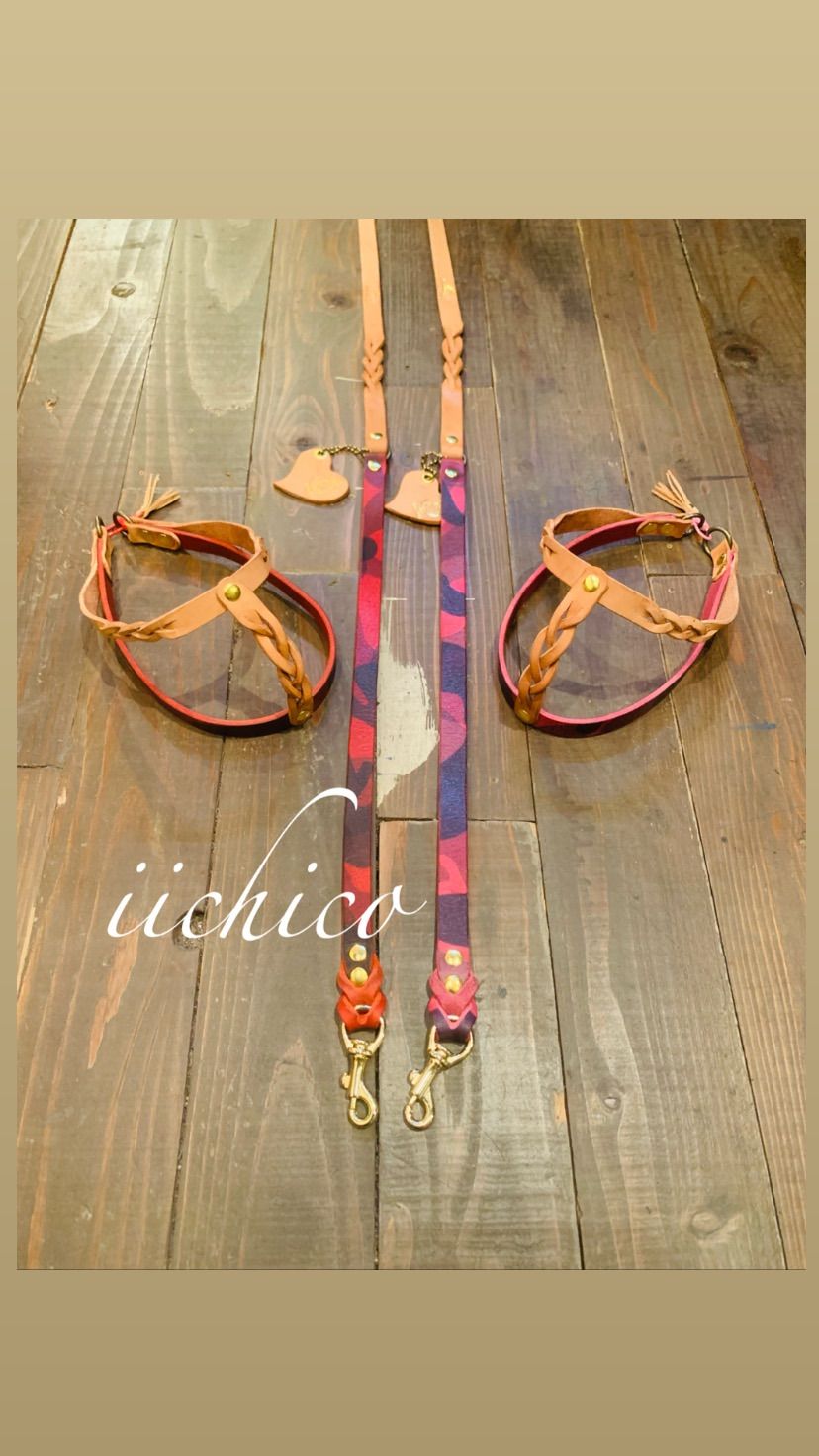 リード＆ハーネス2点SET❗️レッドミニタリー