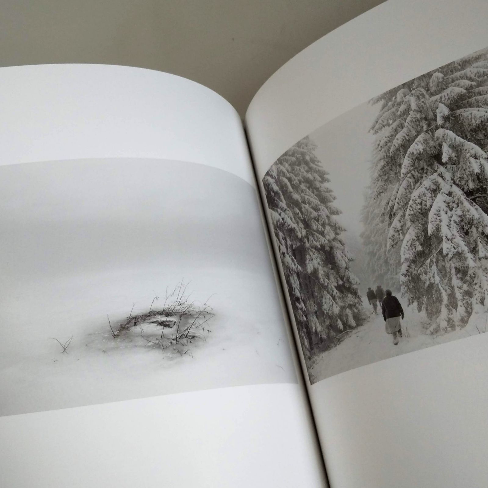 PENTTI SAMMALLAHTI 　図録　写真集　展覧会　ポストカード8枚付 展覧会図録：PENTTI SAMMALLAHTI - メルカリ