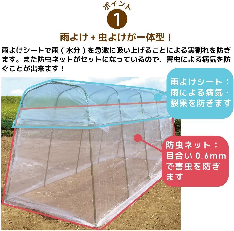 家庭菜園