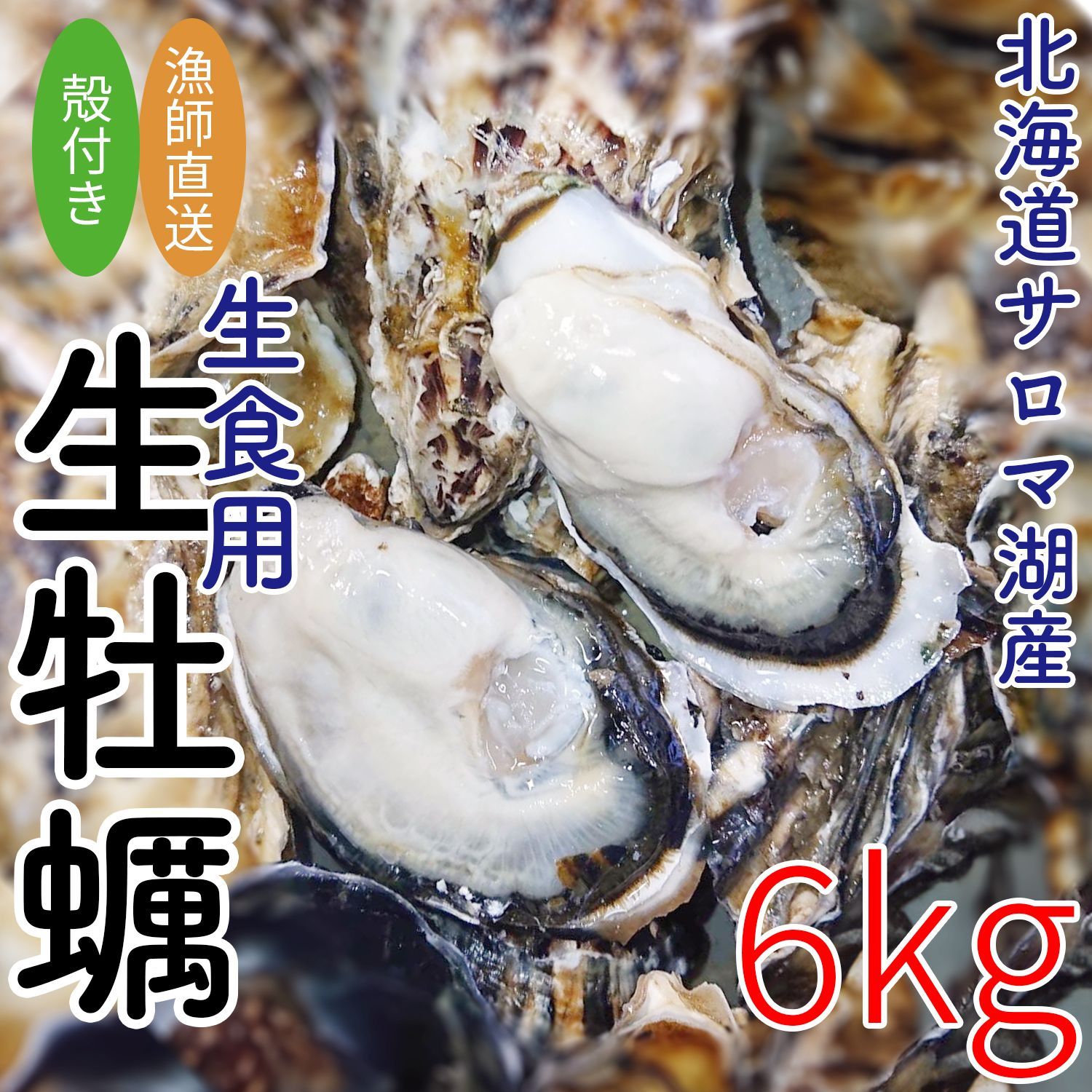 【予約】サロマ湖産生牡蠣　6kg【最終発送日12/29(日)】