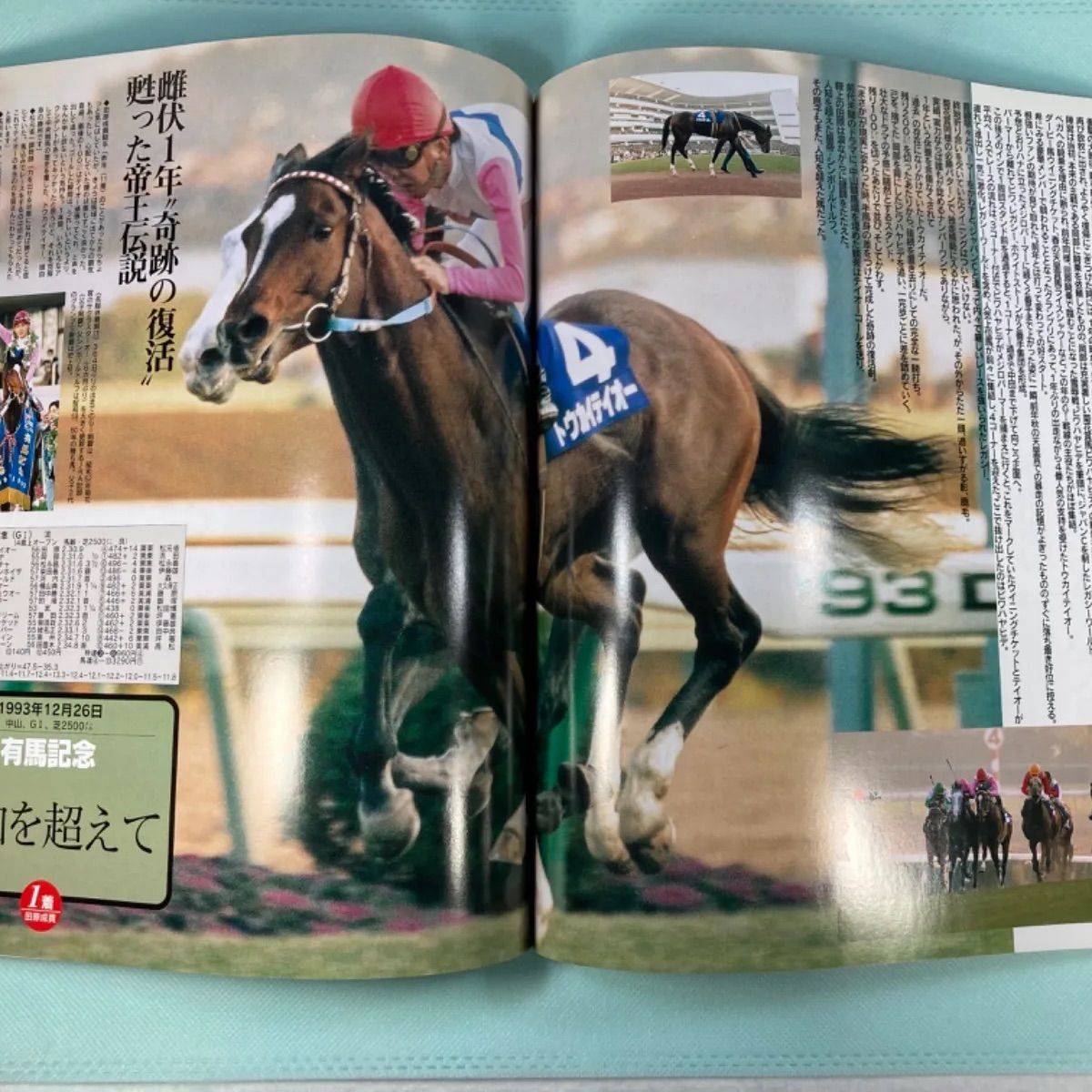 値下げ！新品！JRA競馬ディープ、オグリ、ナリタブライアン、トウカイテイオー名馬 61HYUIIq1LL._UF350,350_QL50_.jpg