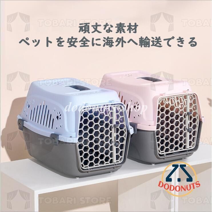 お出かけ お散歩