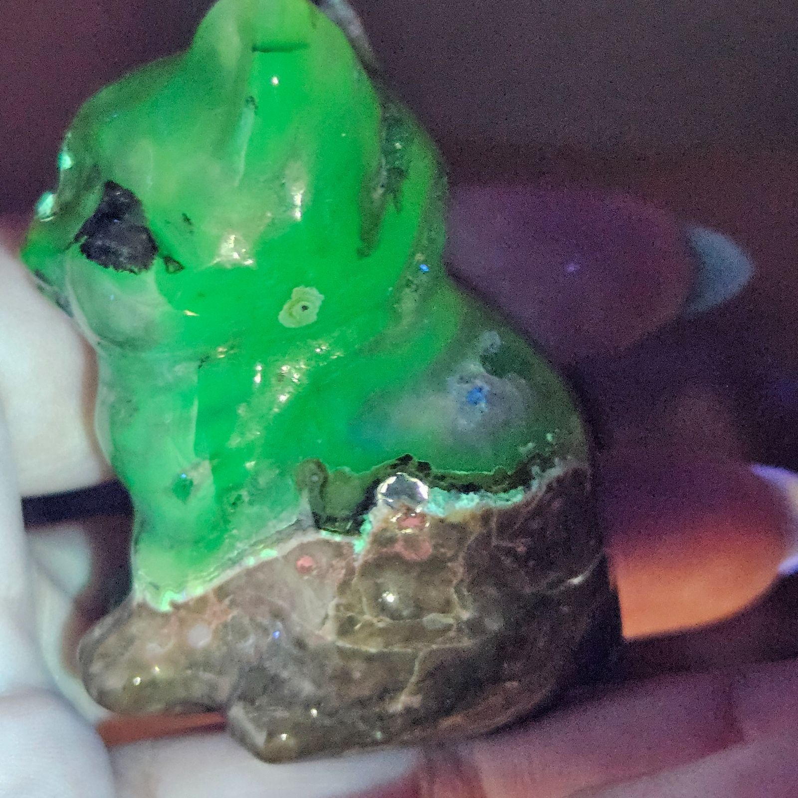 天然石　ボルケーノアゲート　カービング　トリケラトプス　UV蛍光No.1347 激レア✨💖✨ボルケーノアゲート✨猫✨カービング✨ - メルカリ