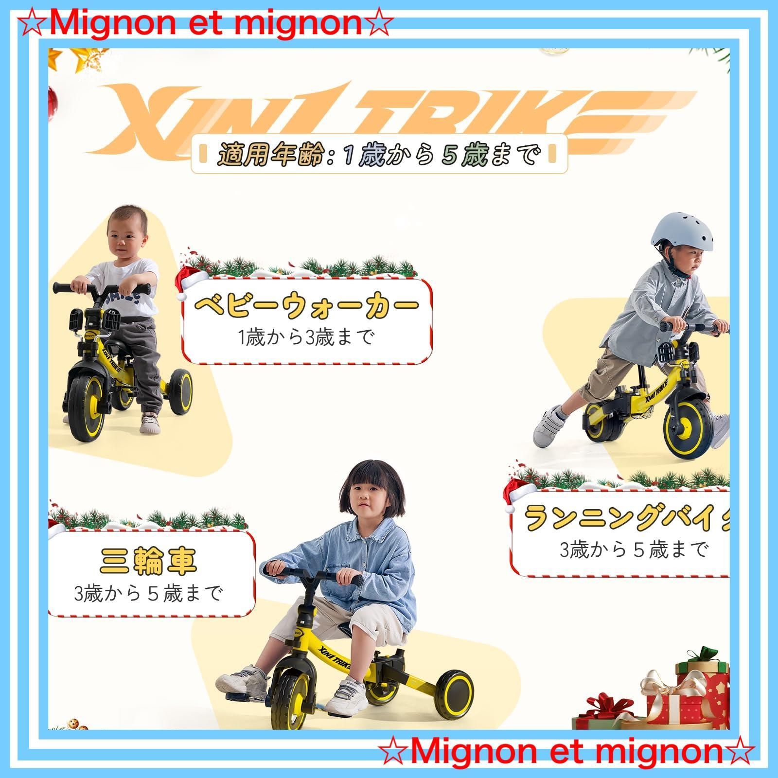 XIN1 お祝いギフト