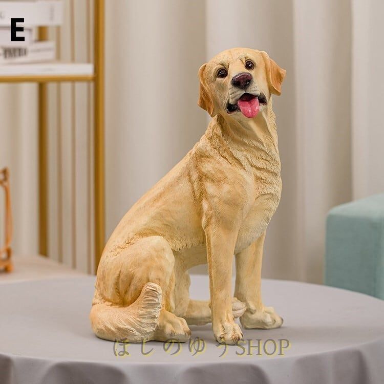犬 動物